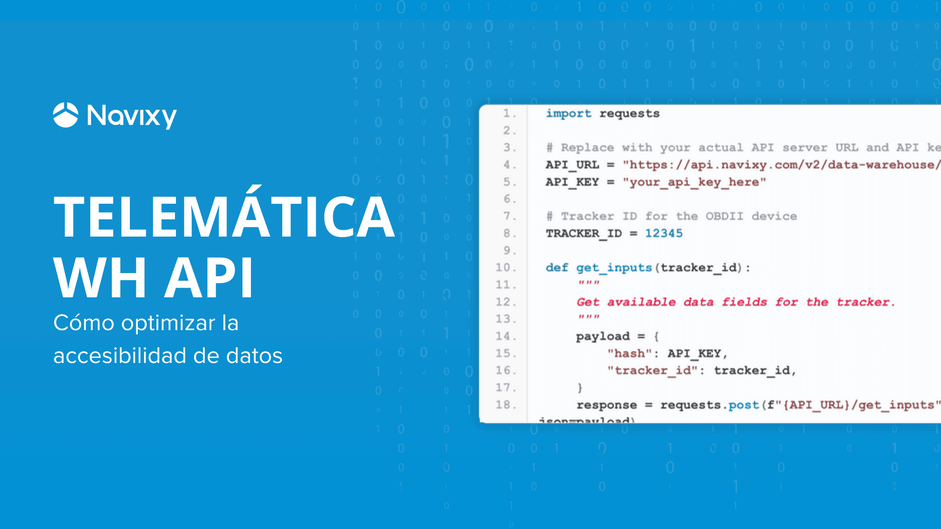 Acceda a datos telemáticos en bruto a través de API