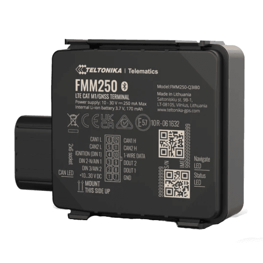 Teltonika FMM250