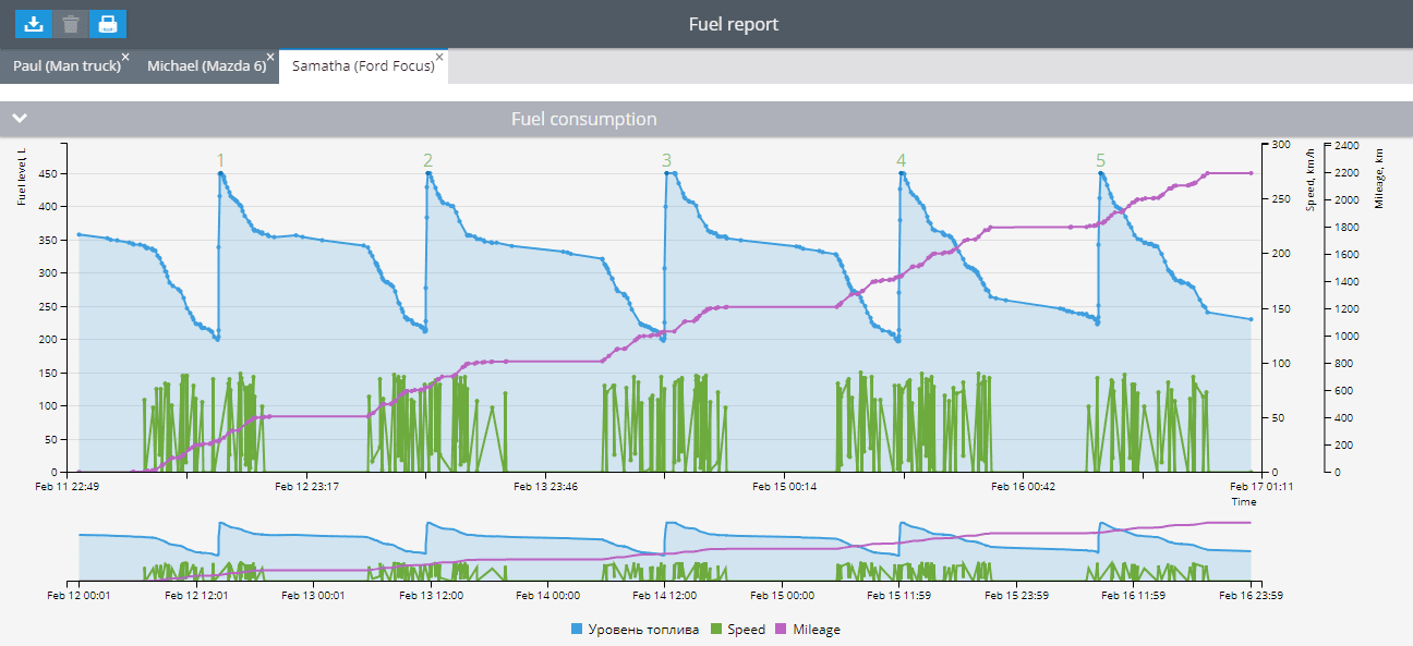 Enhanced fuel consumption report